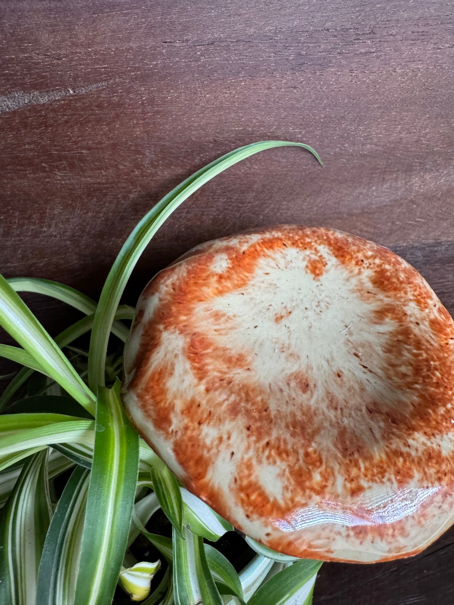 Garden Mushroom Stake