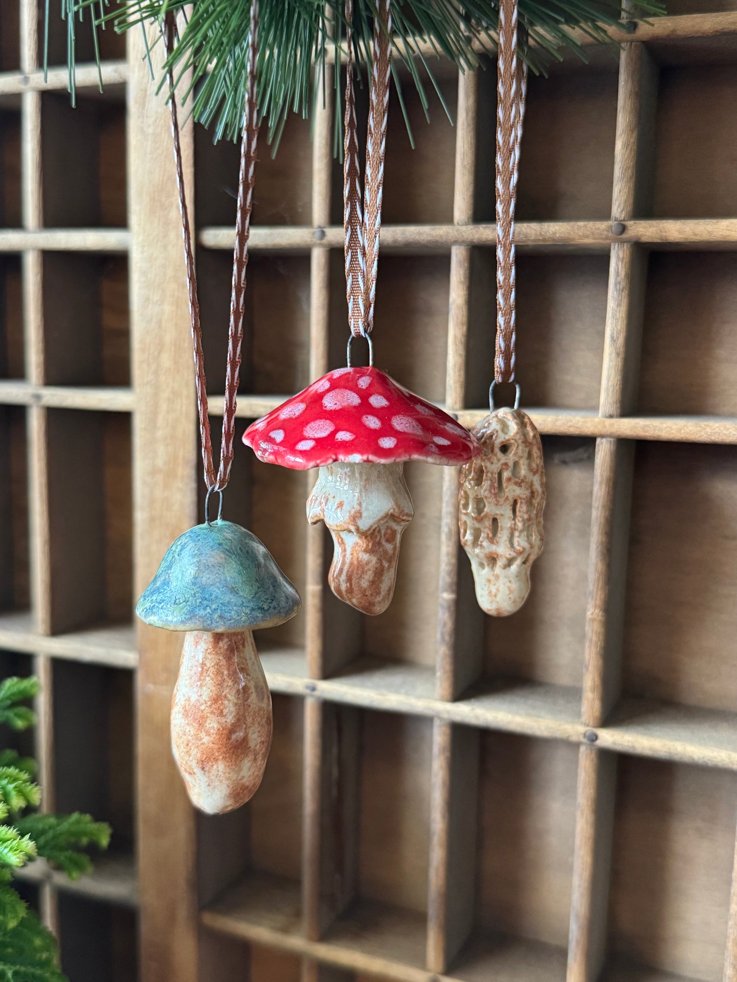 Mushroom Ornament Set 11