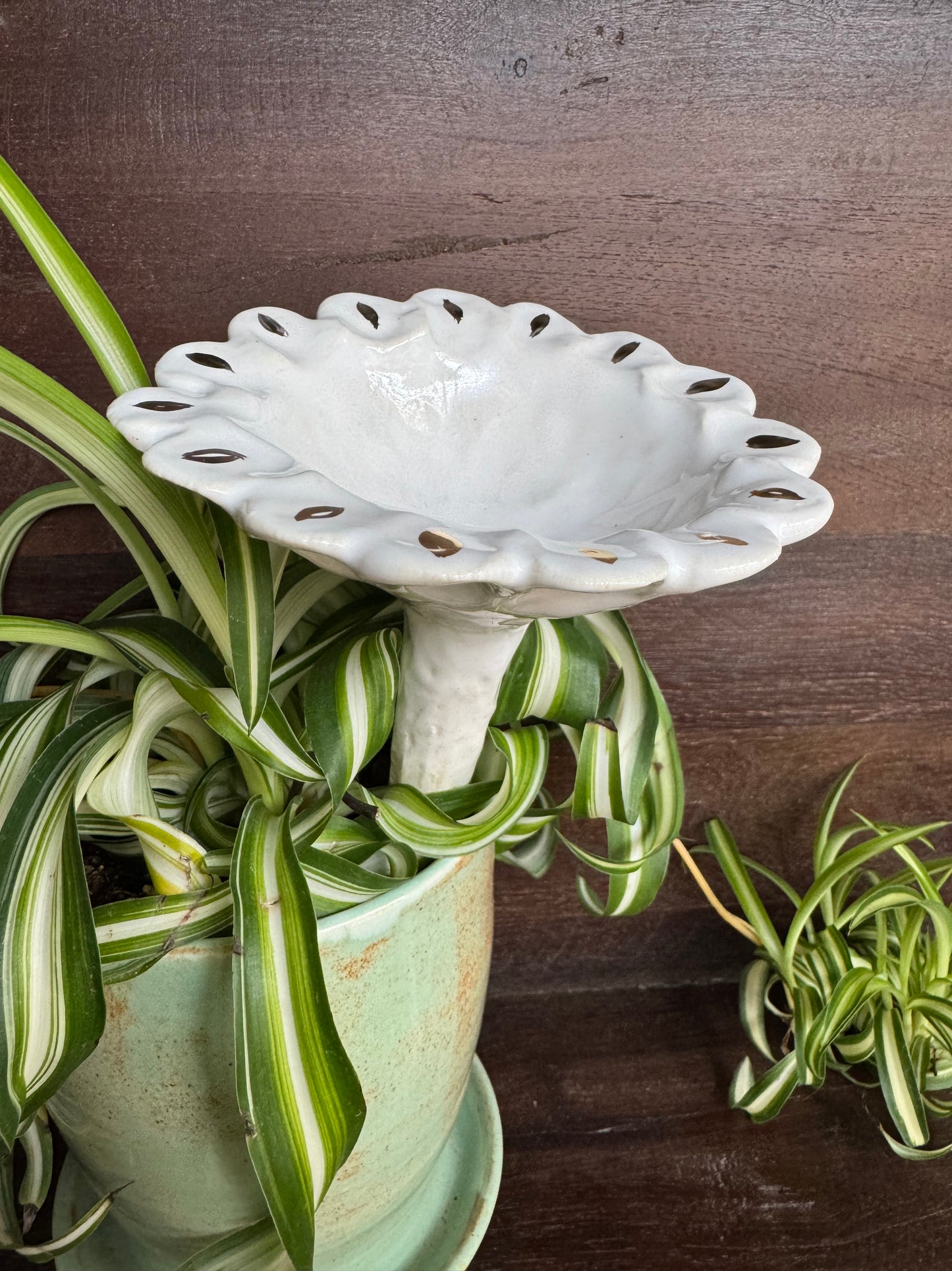 White Flower Bee Bowl 1