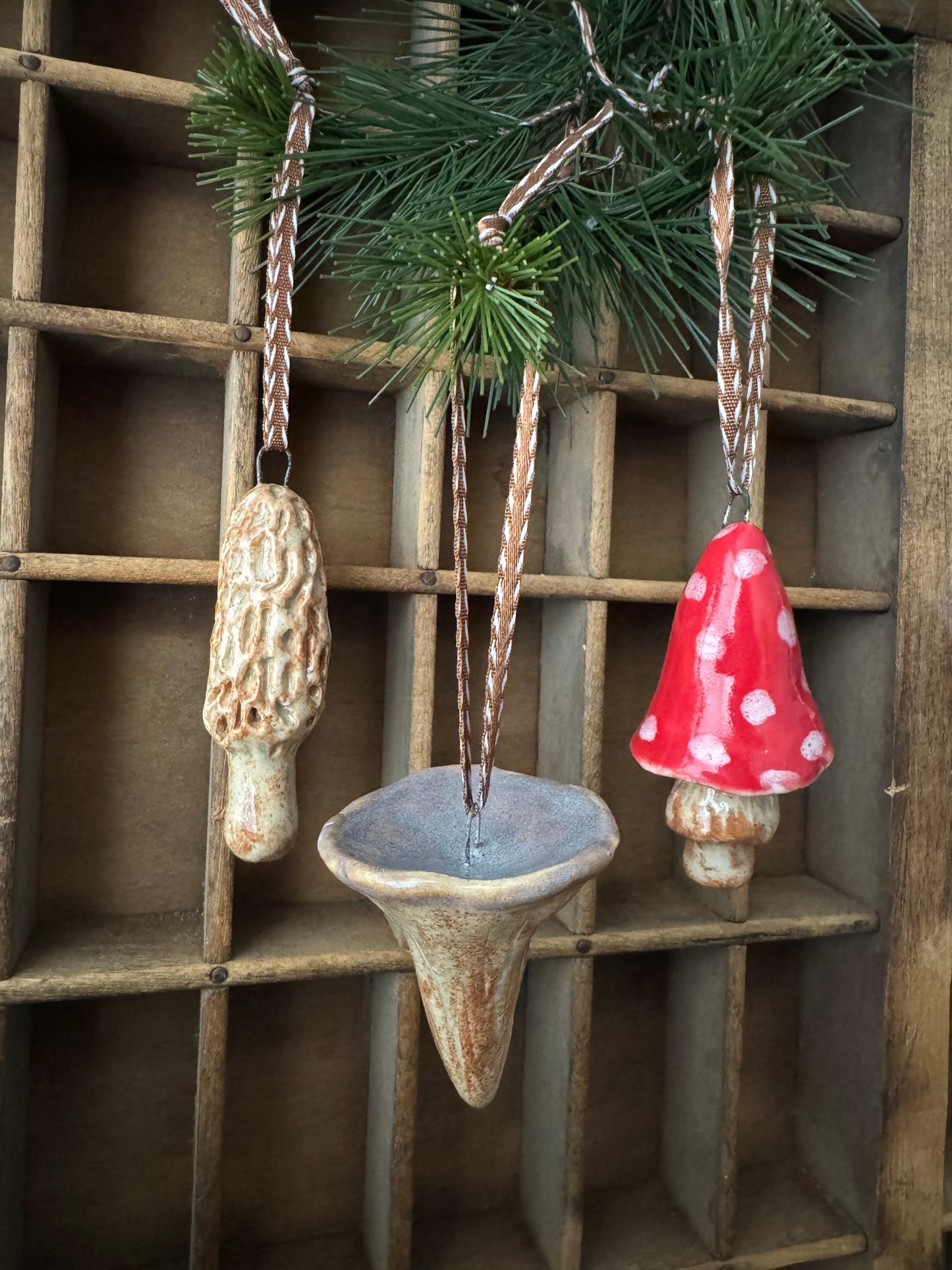Mushroom Ornament Set 10