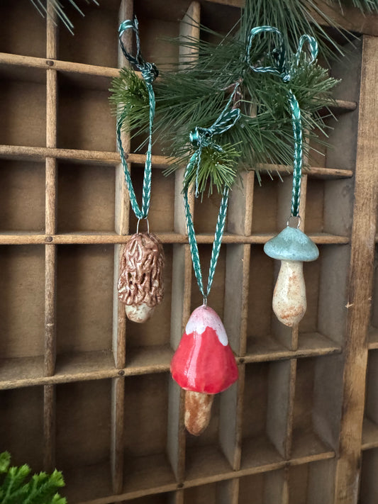Mushroom Ornament Set 4