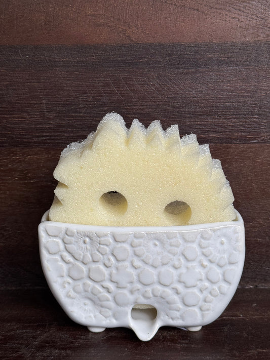 Sponge Holder
