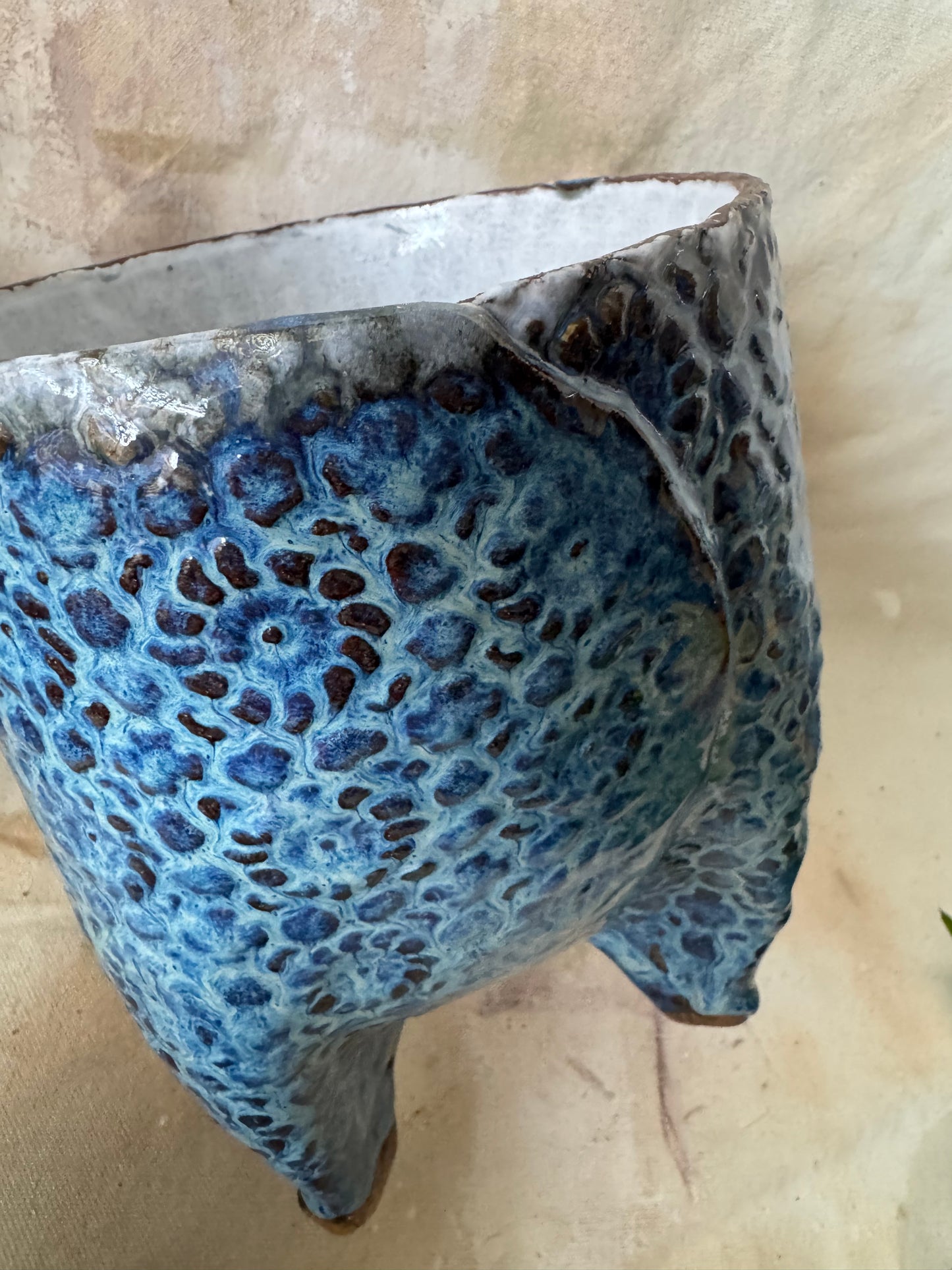 Blue Doily Planter