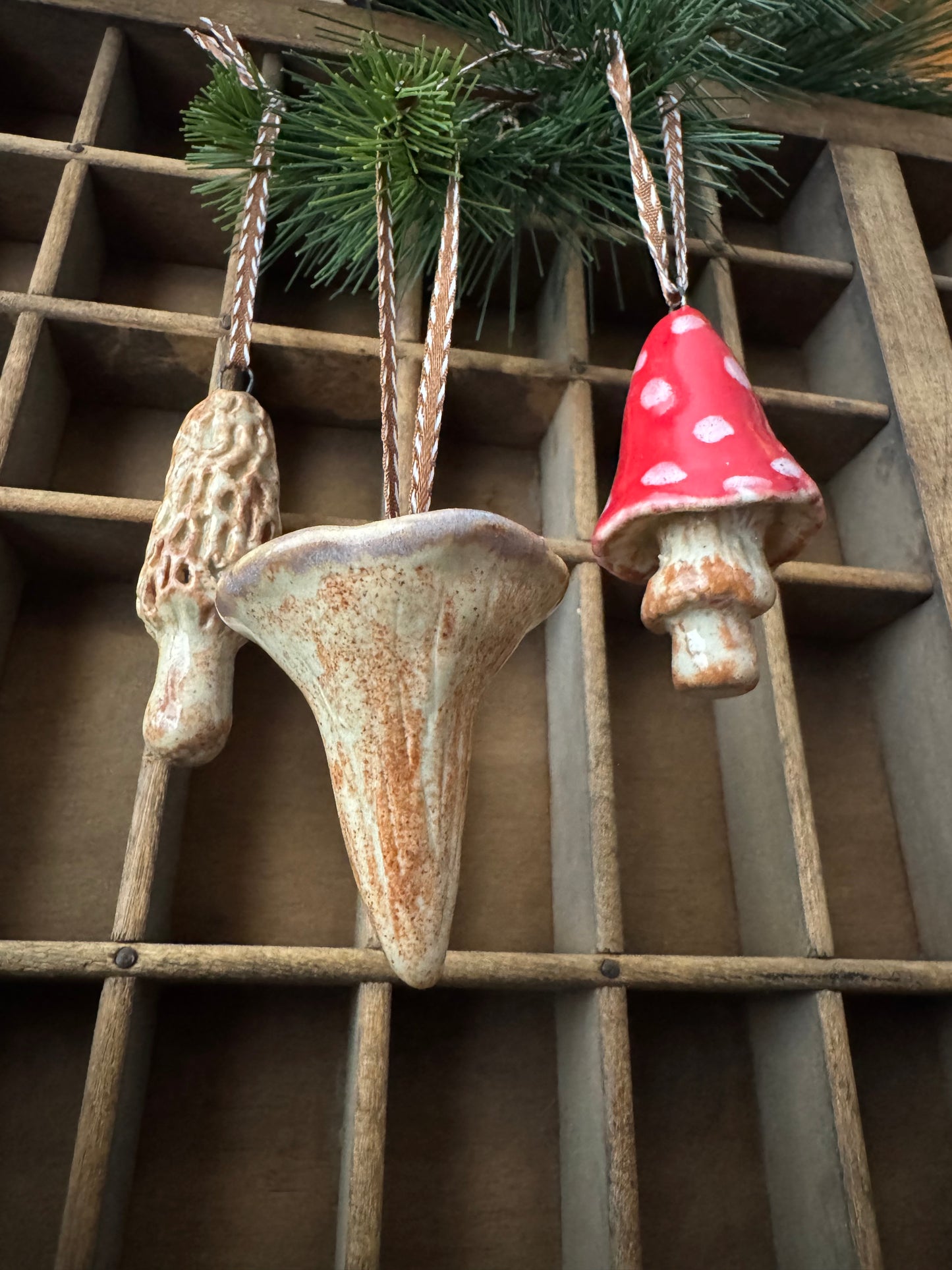 Mushroom Ornament Set 10