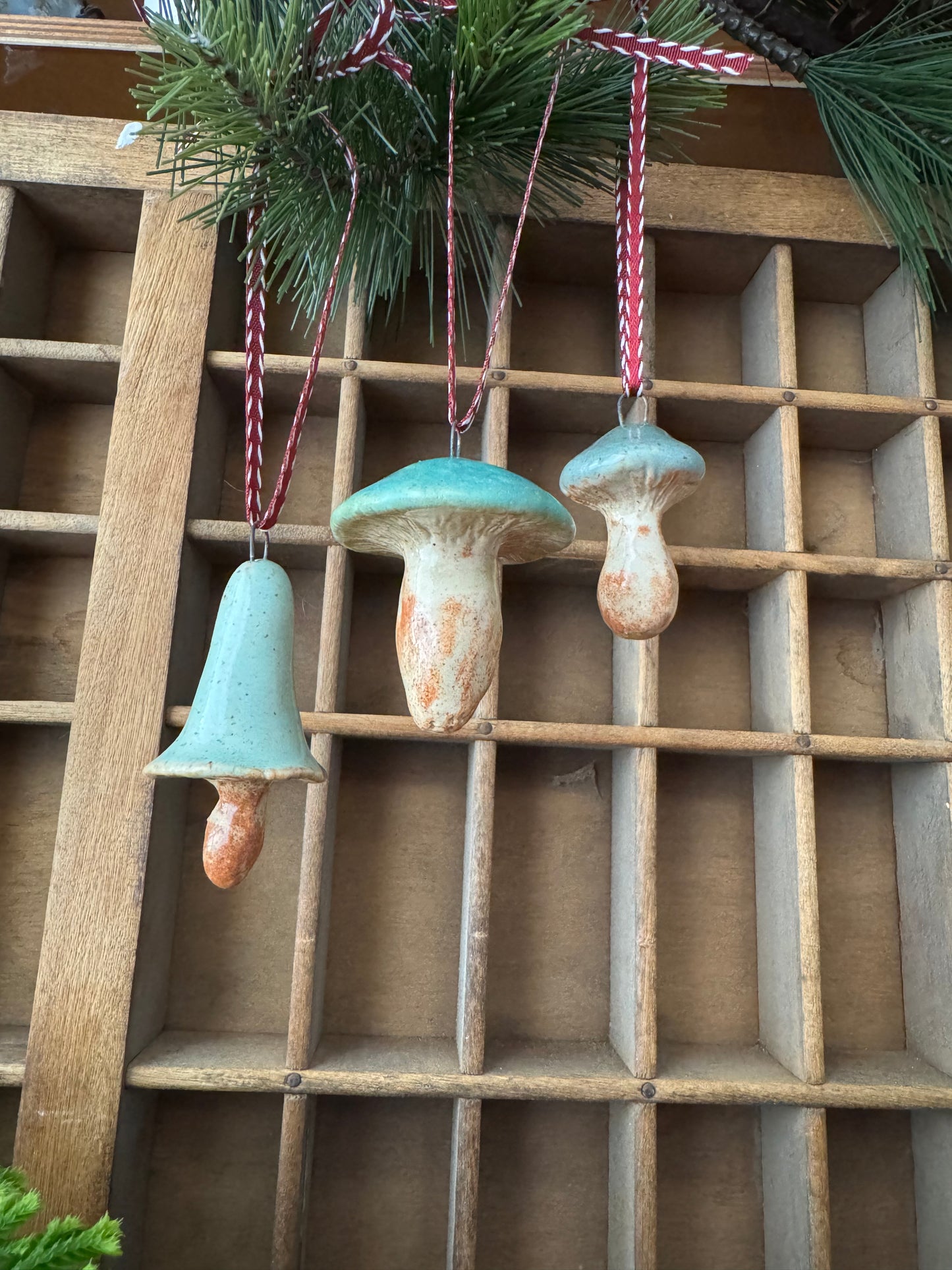 Mushroom Ornament Set 9