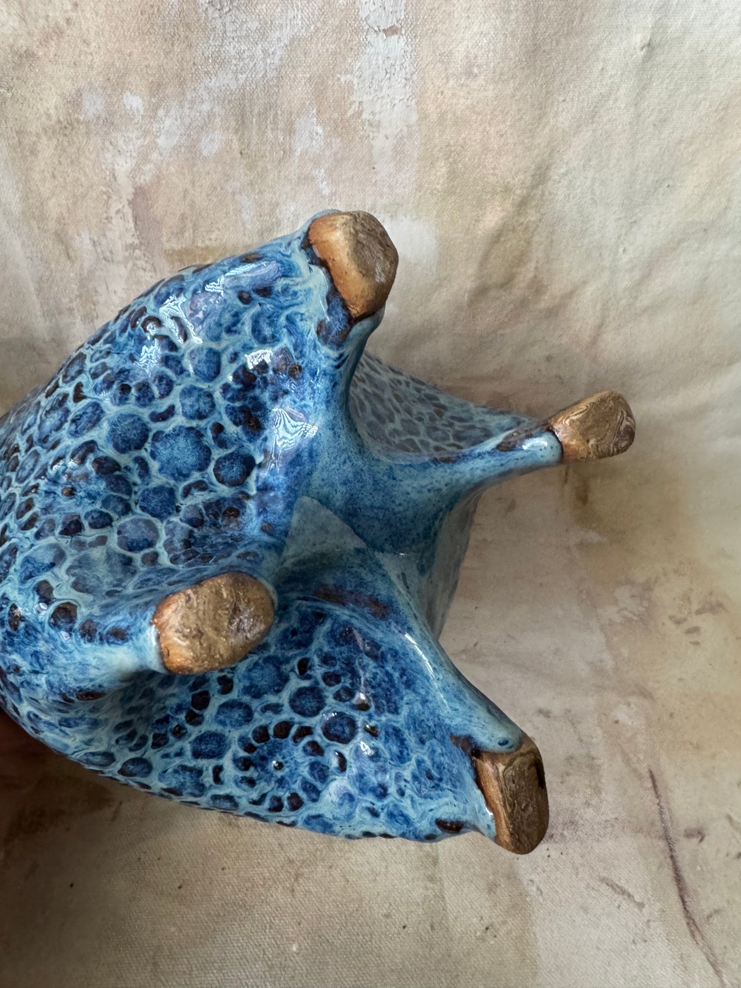Blue Doily Planter