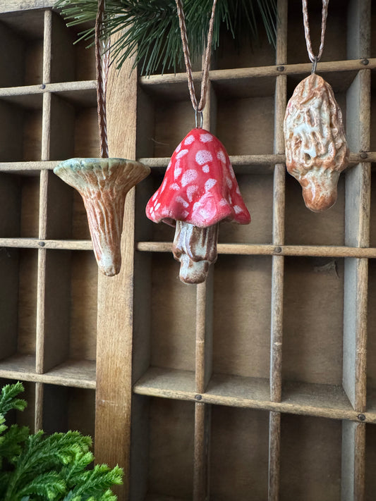 Mushroom Ornament Set 8