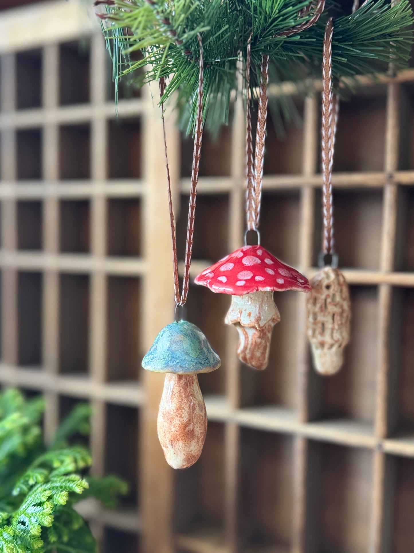 Mushroom Ornament Set 11