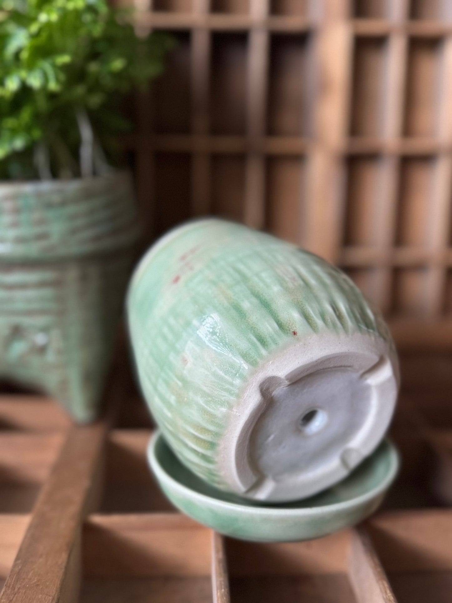 Celadon Planter