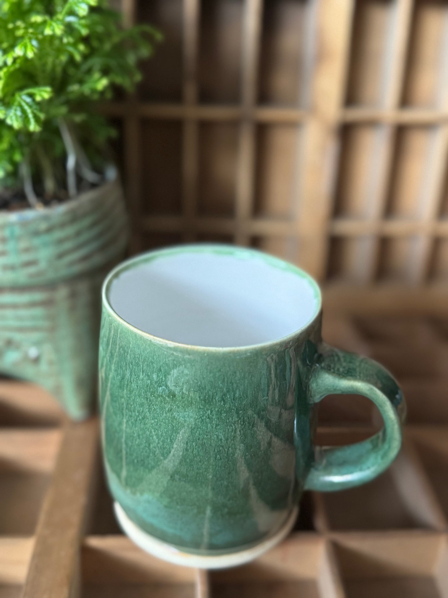 Dark Green Mug