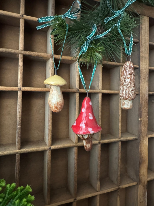 Mushroom Ornament Set 2