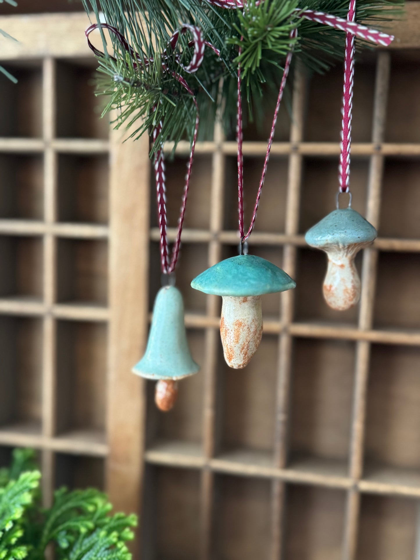 Mushroom Ornament Set 9