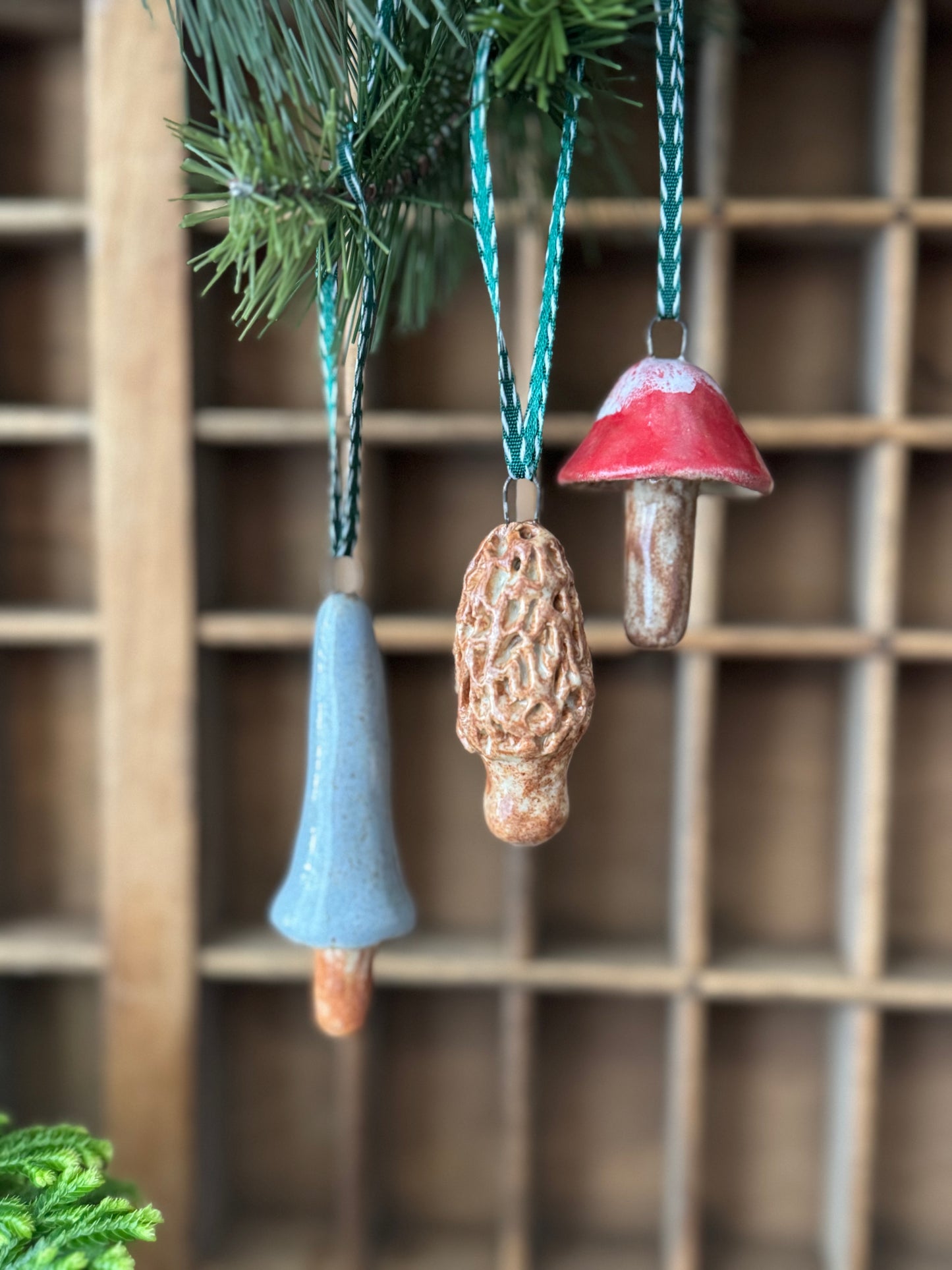 Mushroom Ornament Set 3